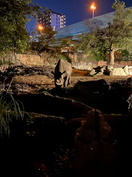 天王寺動物園に投稿された画像（2022/10/16）