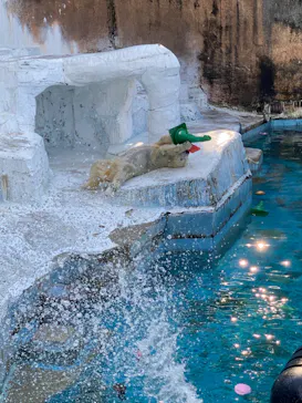 天王寺動物園に投稿された画像（2022/10/16）