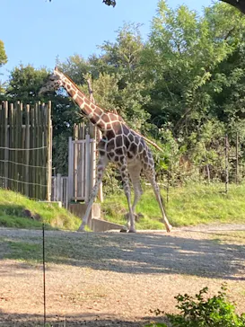 天王寺動物園に投稿された画像（2022/10/16）