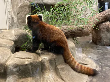 天王寺動物園に投稿された画像（2022/10/16）