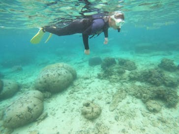 沖縄マリンサービス碧に投稿された画像（2022/10/16）