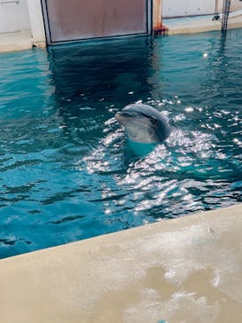 伊豆・三津シーパラダイスに投稿された画像（2022/10/16）