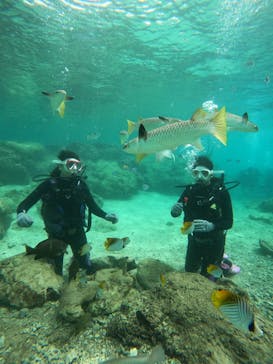 沖縄マリンサービス碧に投稿された画像（2022/10/16）