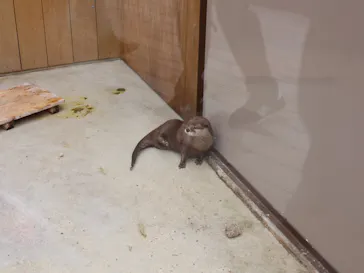 横浜・八景島シーパラダイスに投稿された画像（2022/10/16）