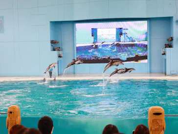 横浜・八景島シーパラダイスに投稿された画像（2022/10/16）