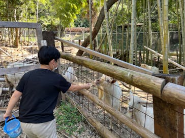 しろとり動物園に投稿された画像（2022/10/16）