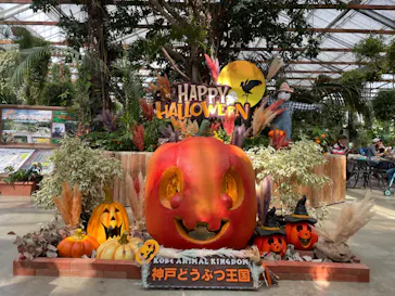 神戸どうぶつ王国に投稿された画像（2022/10/16）