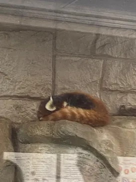 天王寺動物園に投稿された画像（2022/10/16）