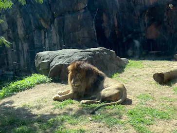 天王寺動物園に投稿された画像（2022/10/16）