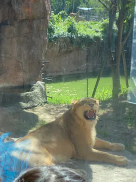 天王寺動物園に投稿された画像（2022/10/16）