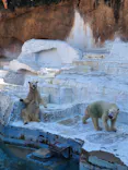天王寺動物園に投稿された画像（2022/10/16）