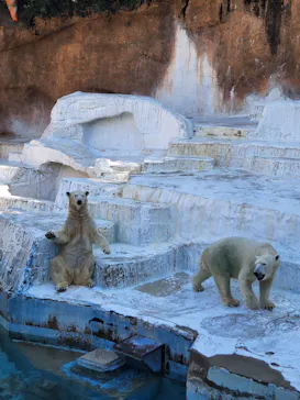 天王寺動物園に投稿された画像（2022/10/16）