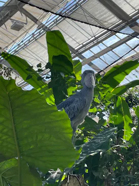 神戸どうぶつ王国に投稿された画像（2022/10/16）