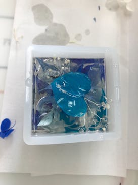 ずこうしつ〜sugamo〜に投稿された画像（2022/10/16）