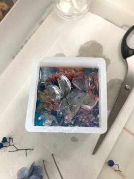 ずこうしつ〜sugamo〜に投稿された画像（2022/10/16）