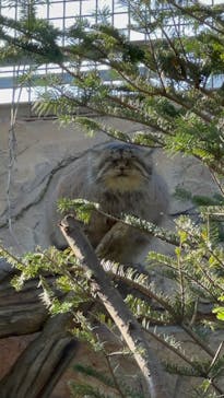 那須どうぶつ王国に投稿された画像（2022/10/16）