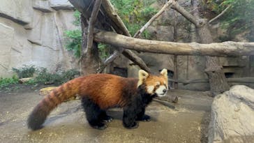 那須どうぶつ王国に投稿された画像（2022/10/16）