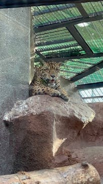 那須どうぶつ王国に投稿された画像（2022/10/16）