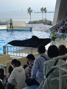マリンワールド海の中道に投稿された画像（2022/10/16）