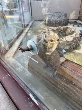 横浜・八景島シーパラダイスに投稿された画像（2022/10/16）