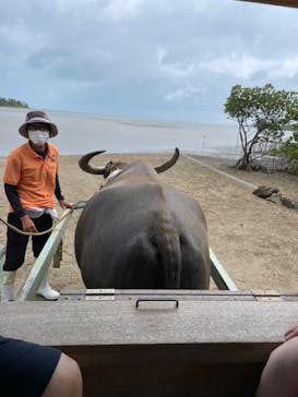 西表島 ADVENTURE PiPi（アドベンチャーピピ）に投稿された画像（2022/10/16）