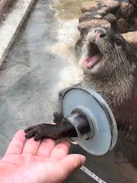 横浜・八景島シーパラダイスに投稿された画像（2022/10/16）