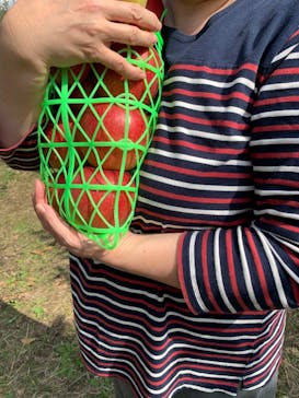 果実の里 原田農園に投稿された画像（2022/10/16）