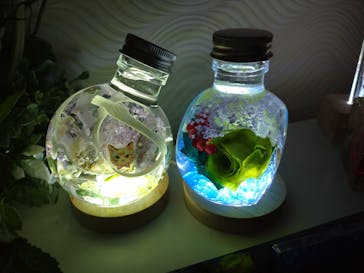 ずこうしつ〜sugamo〜に投稿された画像（2022/10/16）