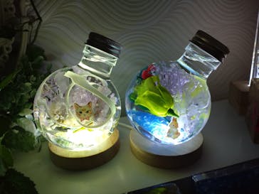 ずこうしつ〜sugamo〜に投稿された画像（2022/10/16）