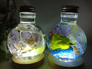 ずこうしつ〜sugamo〜に投稿された画像（2022/10/16）