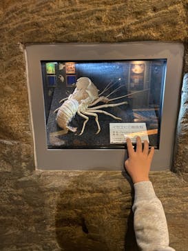 九十九島水族館海きららに投稿された画像（2022/10/16）