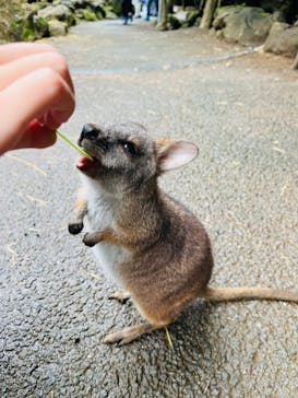 伊豆シャボテン動物公園に投稿された画像（2022/10/16）