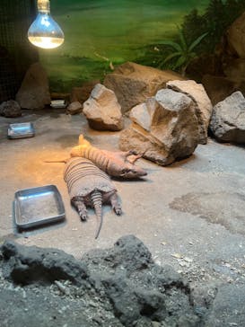 伊豆シャボテン動物公園に投稿された画像（2022/10/16）