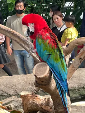 神戸どうぶつ王国に投稿された画像（2022/10/16）