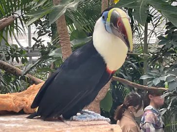 神戸どうぶつ王国に投稿された画像（2022/10/16）