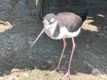 神戸どうぶつ王国に投稿された画像（2022/10/16）