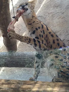 神戸どうぶつ王国に投稿された画像（2022/10/16）