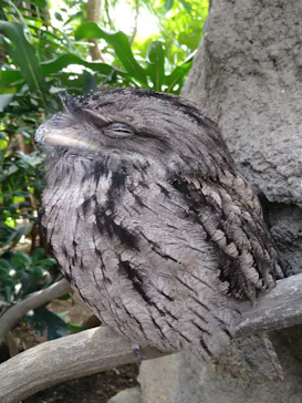 神戸どうぶつ王国に投稿された画像（2022/10/16）