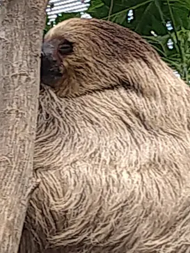 神戸どうぶつ王国に投稿された画像（2022/10/16）