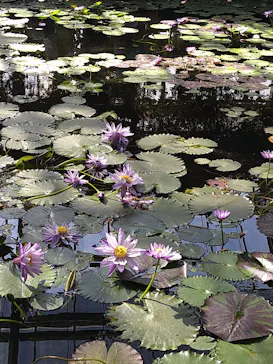 神戸どうぶつ王国に投稿された画像（2022/10/16）