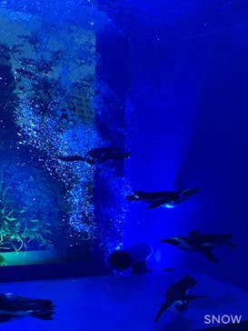 サンシャイン水族館に投稿された画像（2022/10/16）