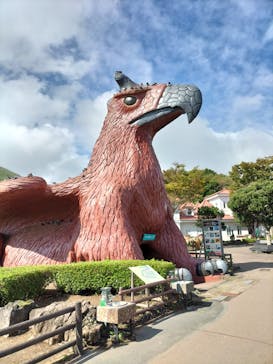 伊豆シャボテン動物公園に投稿された画像（2022/10/16）