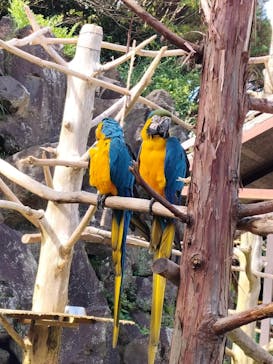 伊豆シャボテン動物公園に投稿された画像（2022/10/16）