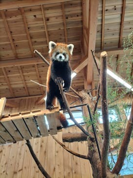 伊豆シャボテン動物公園に投稿された画像（2022/10/16）