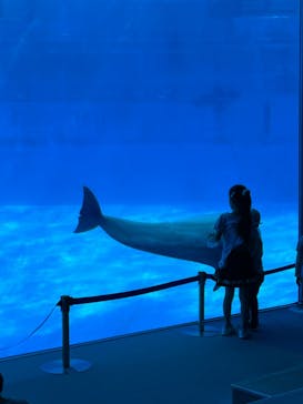 名古屋港水族館に投稿された画像（2022/10/16）