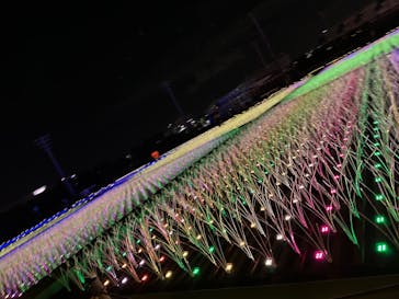 東京メガイルミに投稿された画像（2022/10/16）