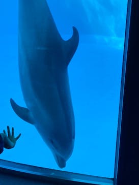 名古屋港水族館に投稿された画像（2022/10/16）