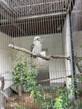 天王寺動物園に投稿された画像（2022/10/16）