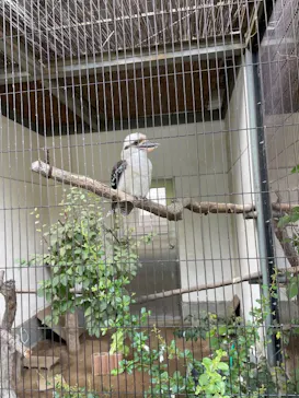 天王寺動物園に投稿された画像（2022/10/16）