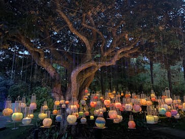 江の島シーキャンドルに投稿された画像（2022/10/16）